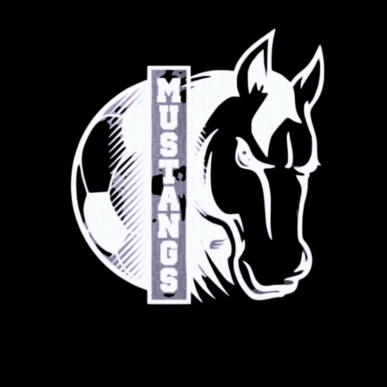 Mustangs Soccer 2023
