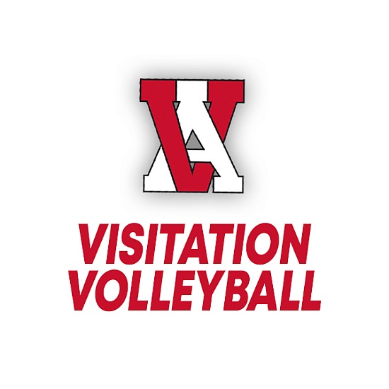 VIZ Volleyball