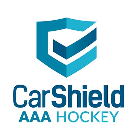 Car Shield Hockey